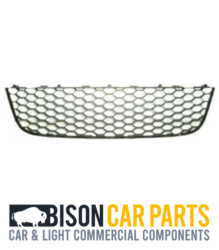 Front bumper grille - front, lower